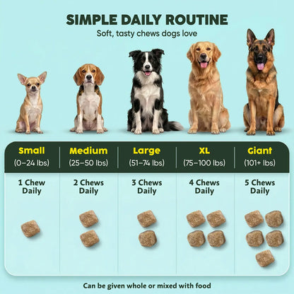 Delicious Multi-Vitamin Chews for Energy & Immune Defense