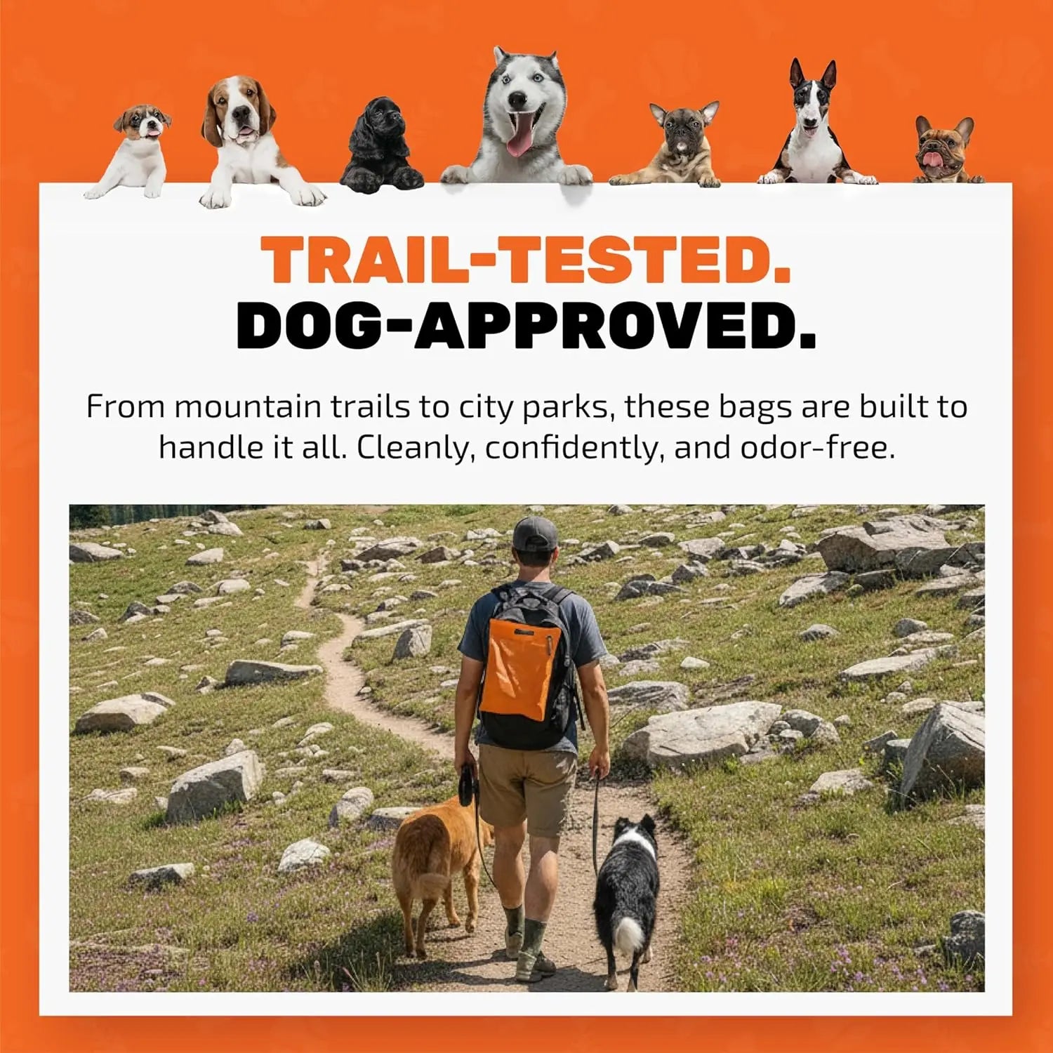 Cleanwaste Waggy Baggy - Adventure-Ready Smell-Proof Dog Waste Bags with Dual Bag System & Convenient Carry Handle, 10 Count