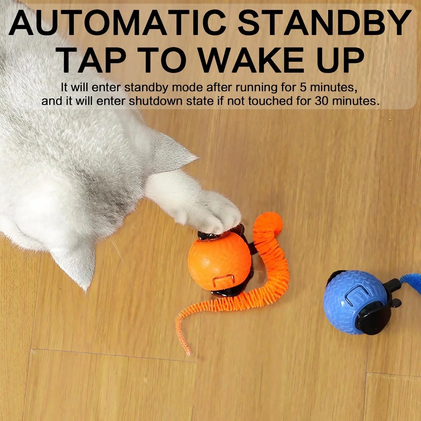 Rechargeable Interactive Cat Toy Ball - Fun & Durable Teaser for Indoor Play & Exercise (1 or 2 Count)