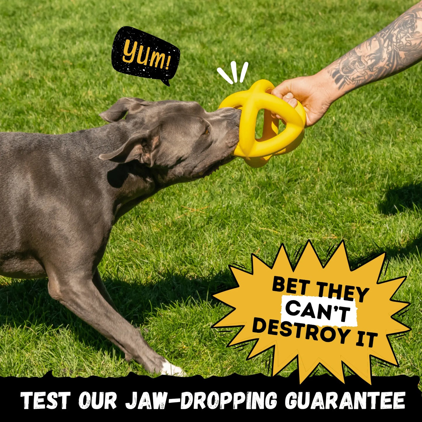 Monster K9 Giant Halo Ball – Oversized Indestructible Dog Ball for XL & Large Breed Power Chewers