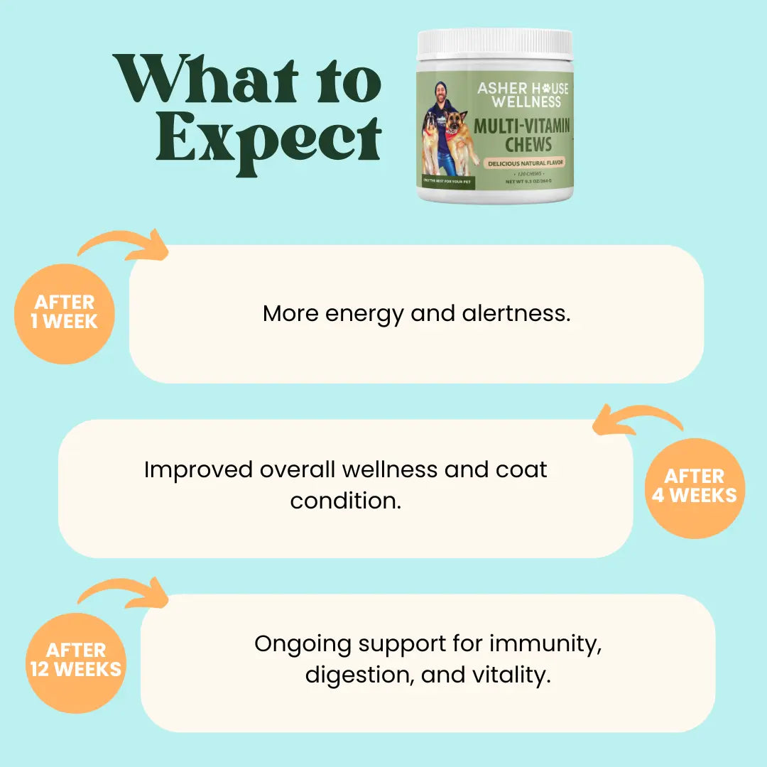 Delicious Multi-Vitamin Chews for Energy & Immune Defense