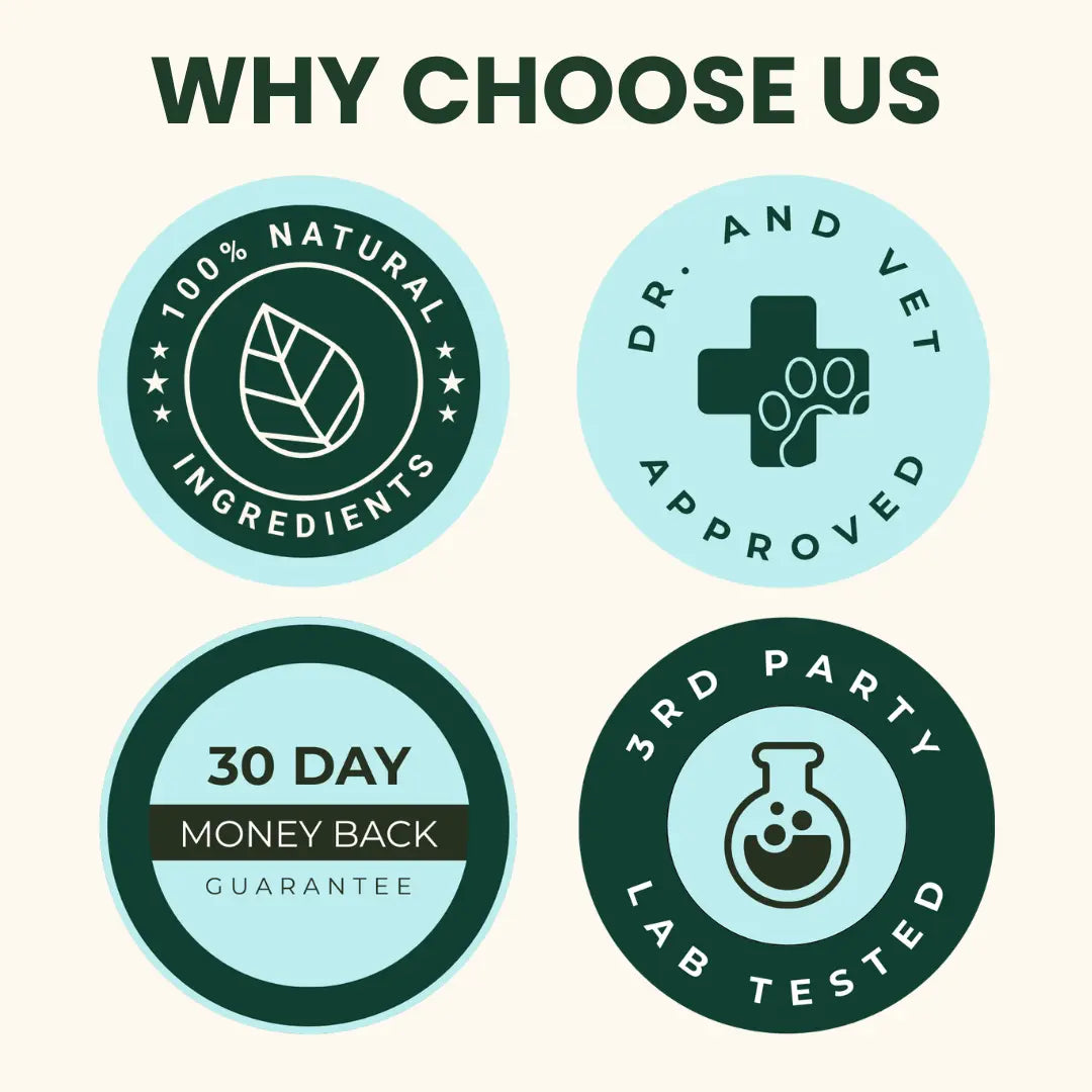 Delicious Multi-Vitamin Chews for Energy & Immune Defense