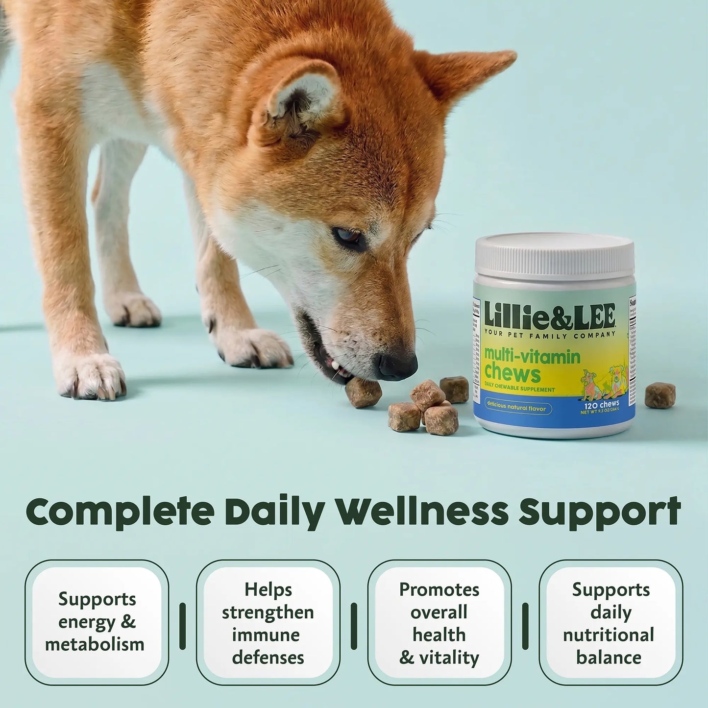 Delicious Multi-Vitamin Chews for Energy & Immune Defense